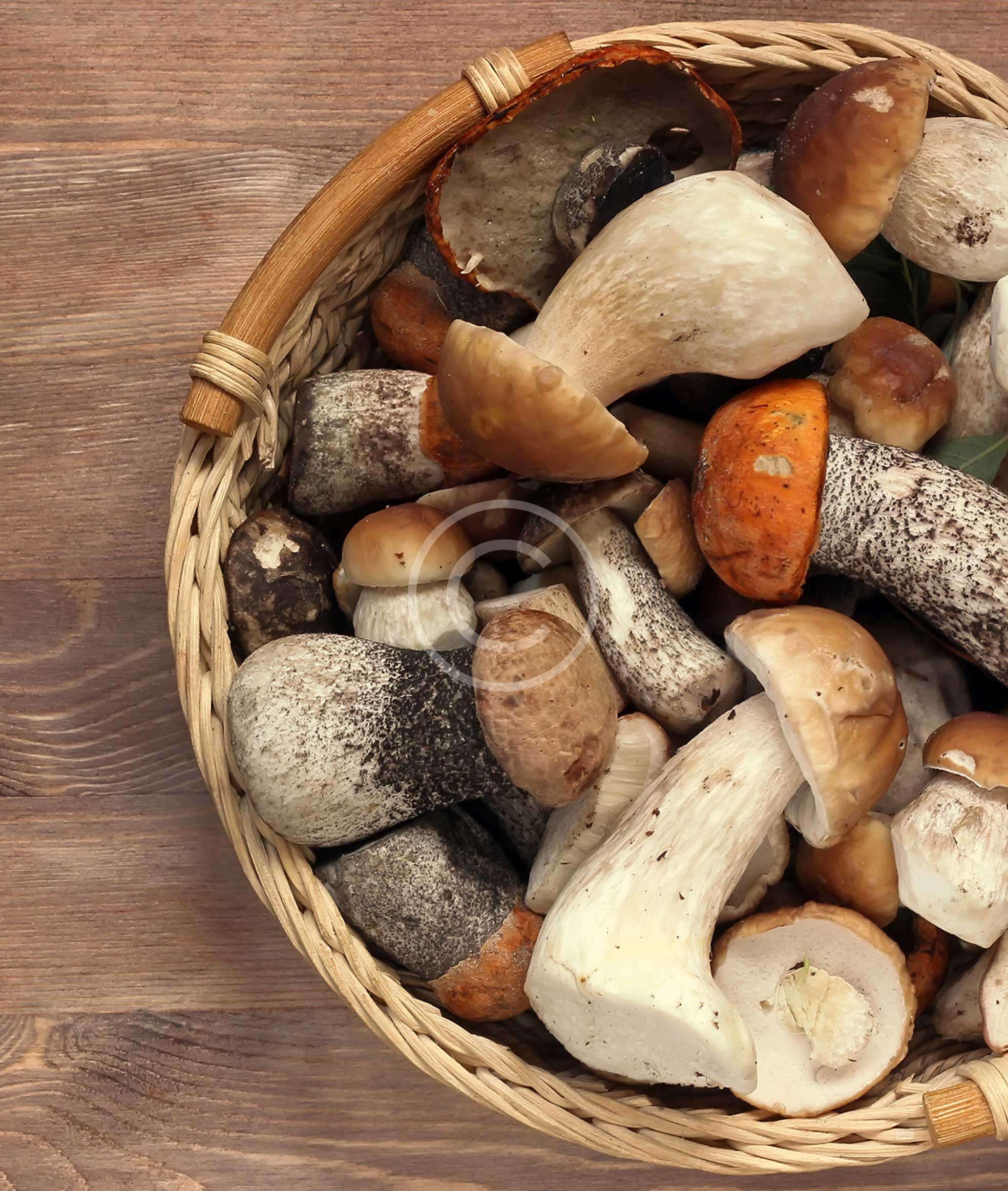 Selecting & Storing Fresh Mushrooms